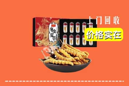 咸阳市杨陵回收冬虫夏草